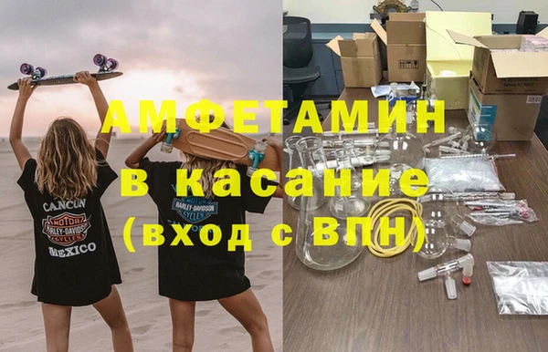 стафф Богданович
