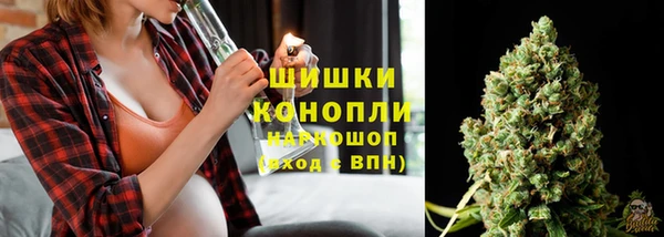 гидропоника Новозыбков