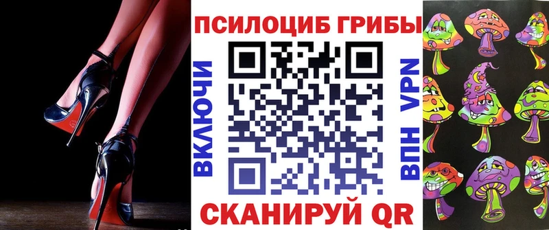 Псилоцибиновые грибы Psilocybe  Бронницы 